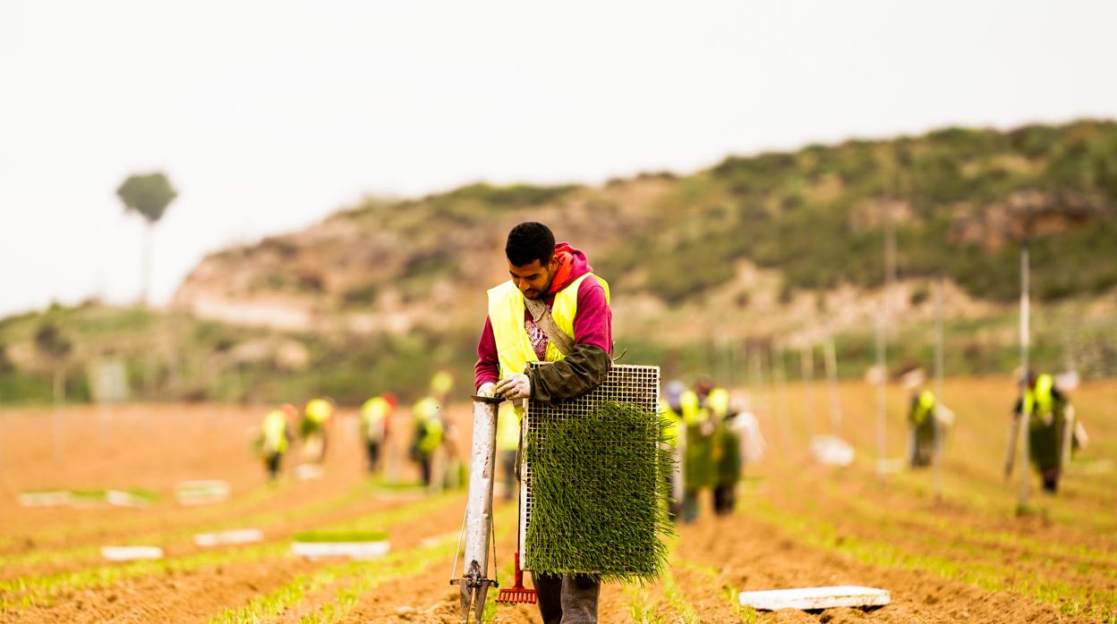 Un «agroasesor» para favorecer el relevo generacional en el campo madrileño