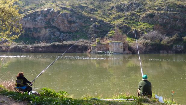 Los molinos de Daicán. Tributos pictóricos a un paraje del Tajo