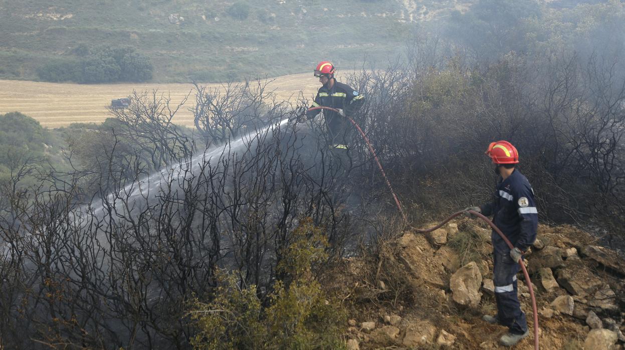 En las últimas horas se han producido cuatro incendios, el más grave en Sos del Rey Católico. Sobre estas líneas, imagen de archivo de un incendio forestal