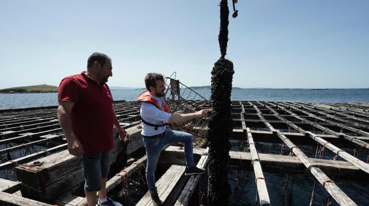 Pablo Casado visitó una batea en A Pobra do Caramiñal