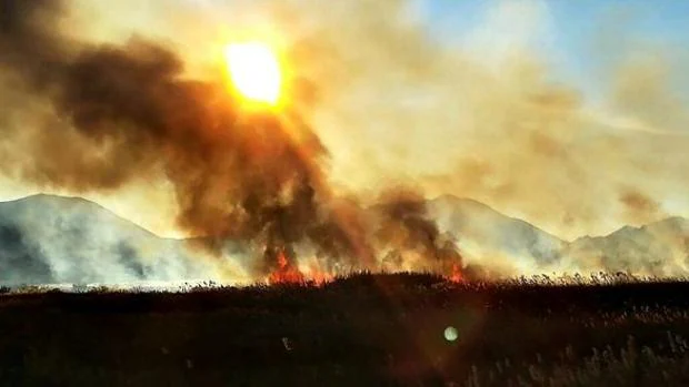 Controlado el incendio forestal declarado este miércoles en Cordovilla (Albacete)