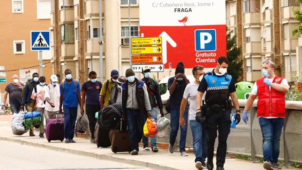 La Junta prepara medidas para la prevención y gestión de casos de Covid-19 entre los temporeros