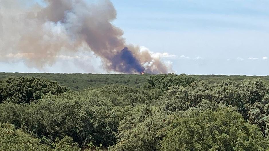 Desciende a nivel 0 un incendio en La Santa Espina (Valladolid)