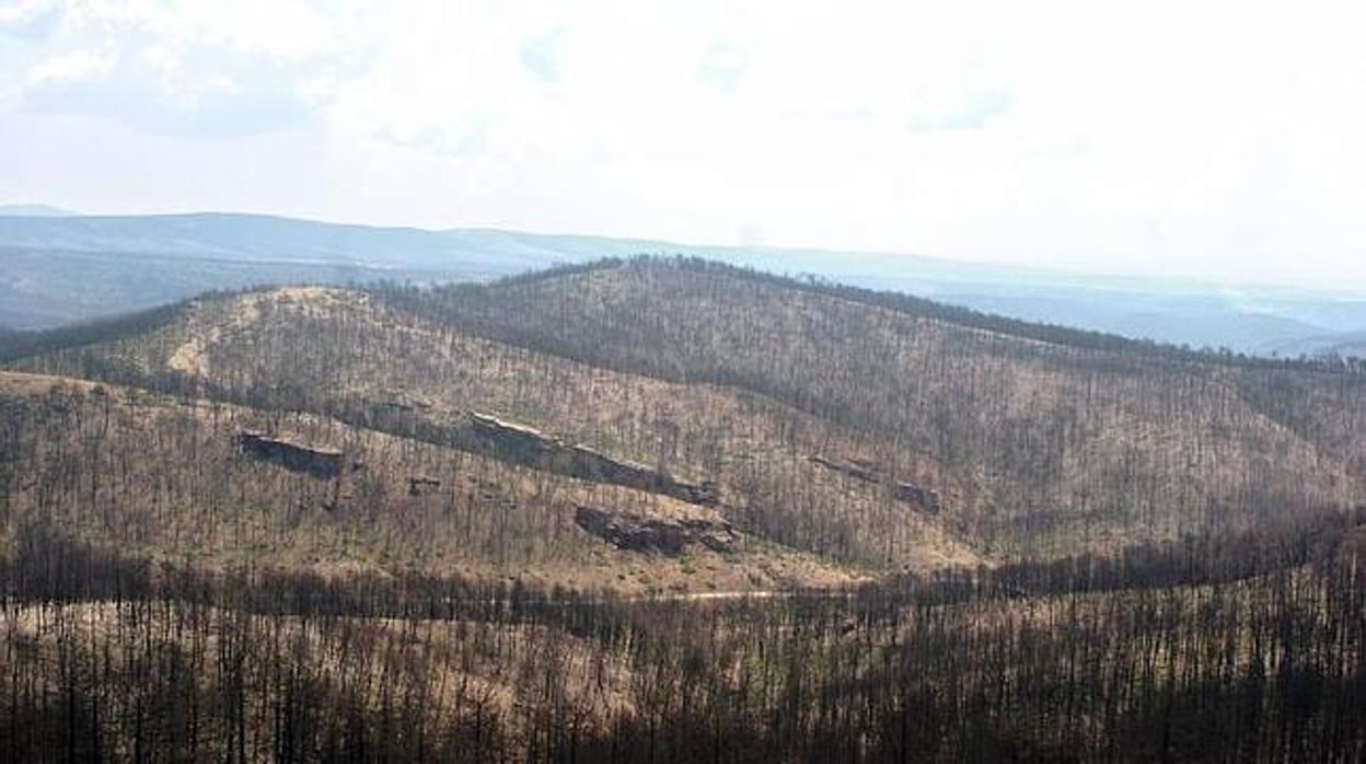 Vista desde la torre de vigía de Riba de Saelices, donde se originó el devastador incendio -