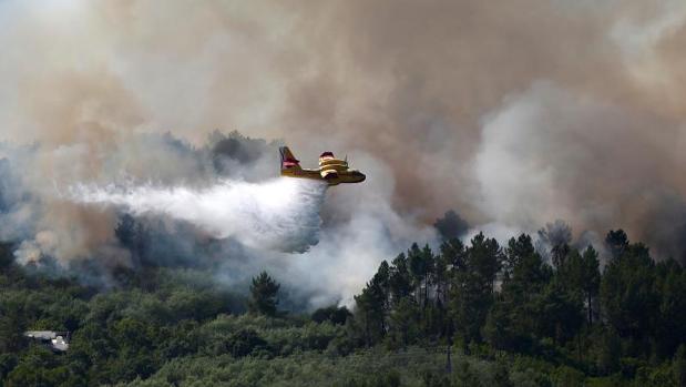 El objetivo para 2020: menos de 20.000 hectáreas calcinadas por el fuego