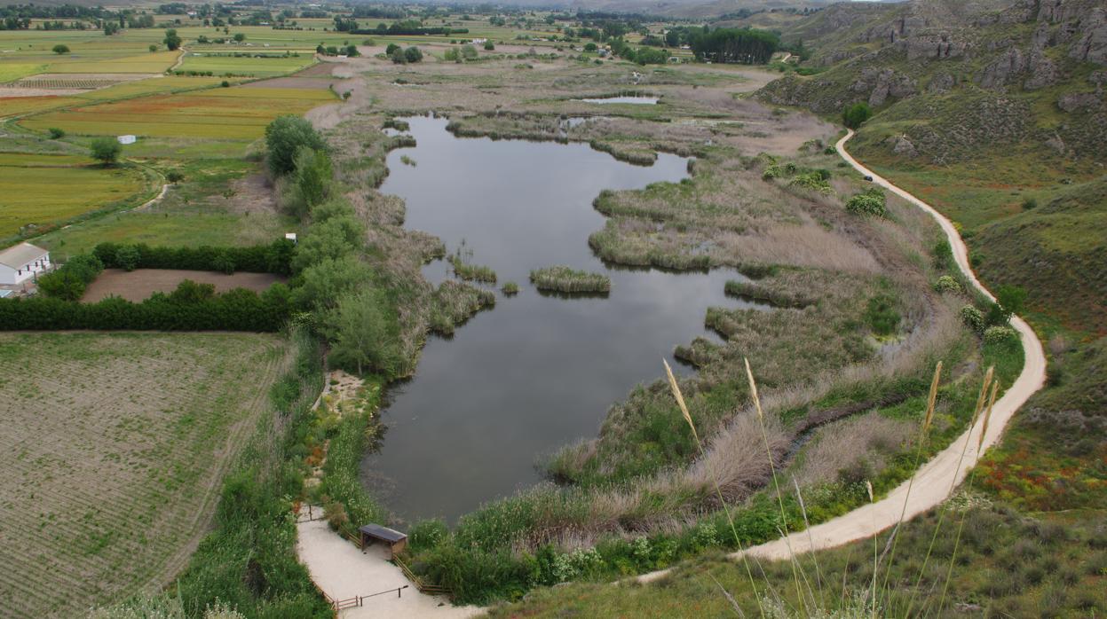 Vista general de la Laguna de San Juan, en el Parque Regional del Sureste