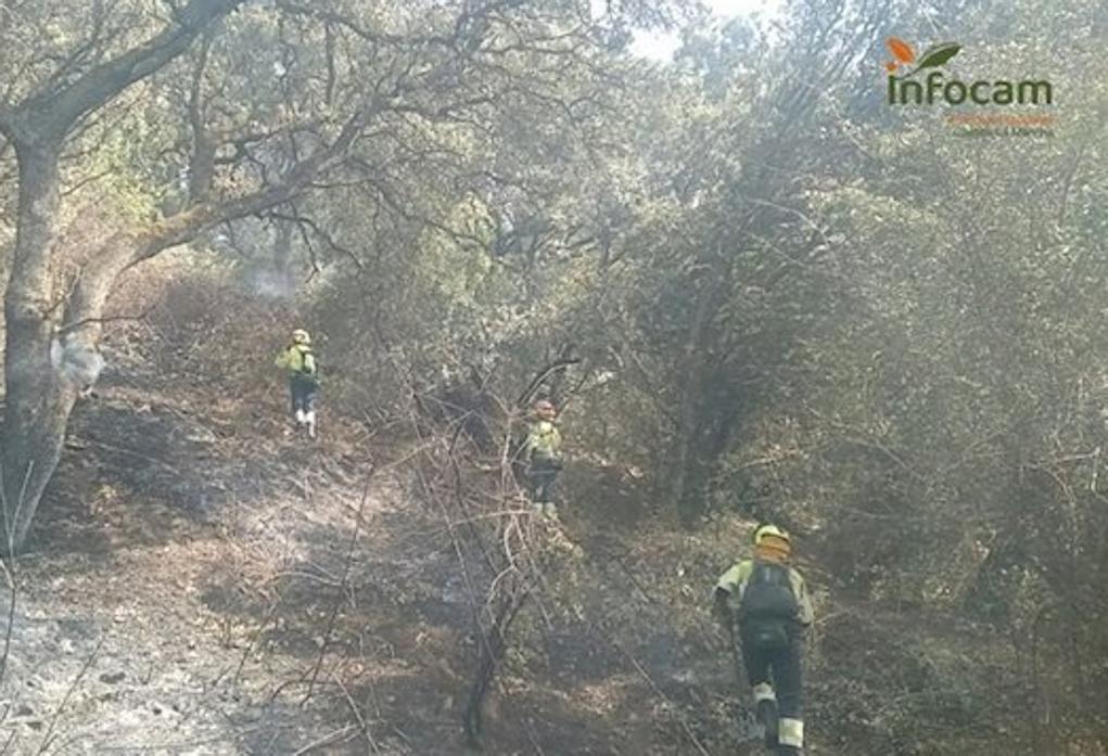 Bomberos trabajando en la extinción del incendio forestal en El Casar de Escalona