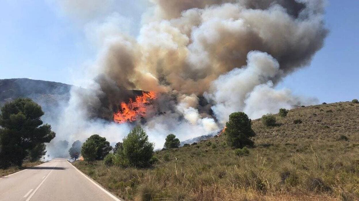 Incendio forestal en una zona de monte de Agramón, pedanía de Hellín (Albacete)