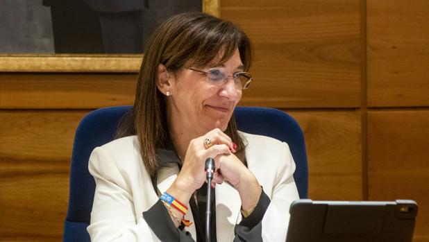 Pozuelo rebaja su índice de criminalidad en un 31%