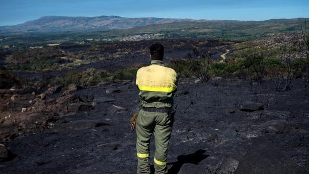 Controlado el fuego de Monterrei, el primer gran incendio del verano