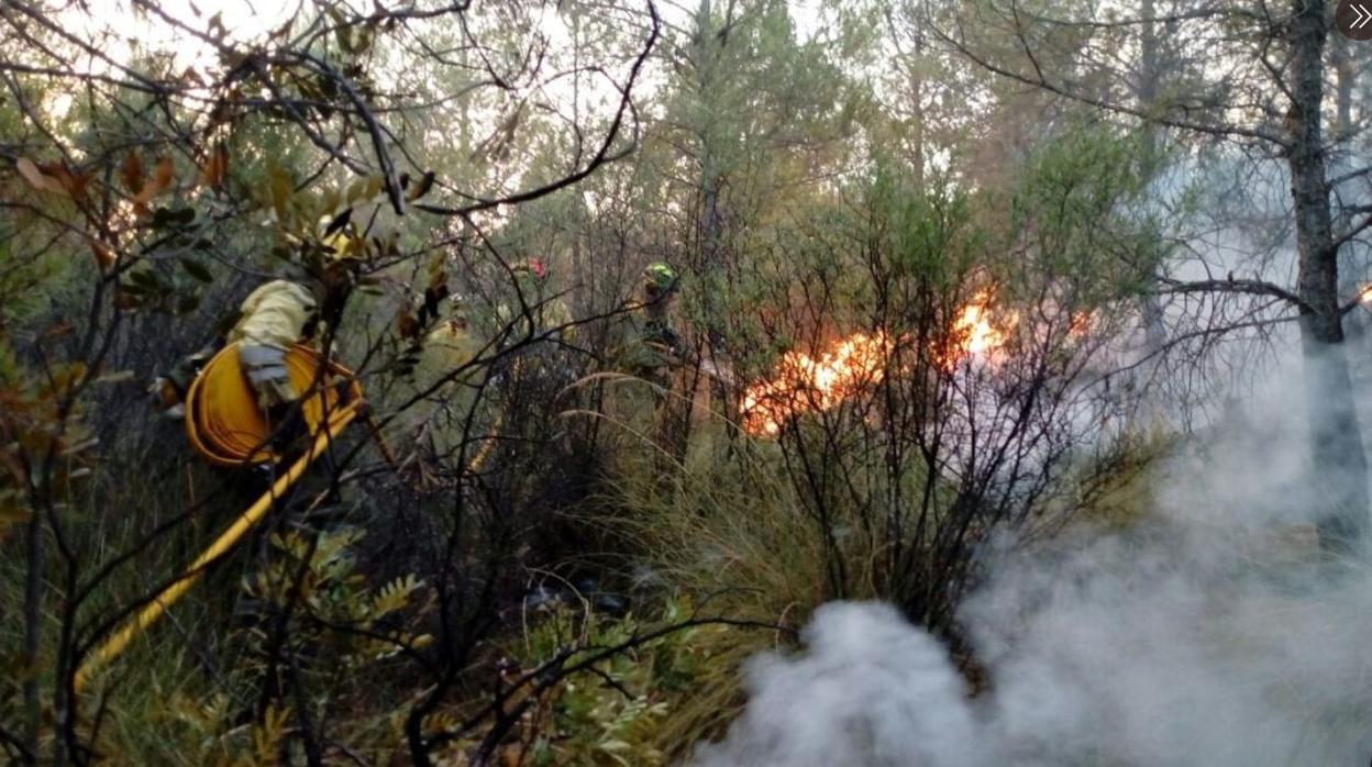 Bomberos tratando de apagar el fuegoen Ferez (Albacete)