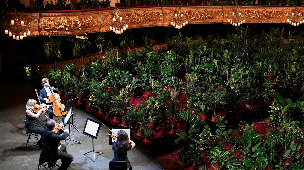 El Gran Teatre acogió el 22 de junio una actuación especial para plantas