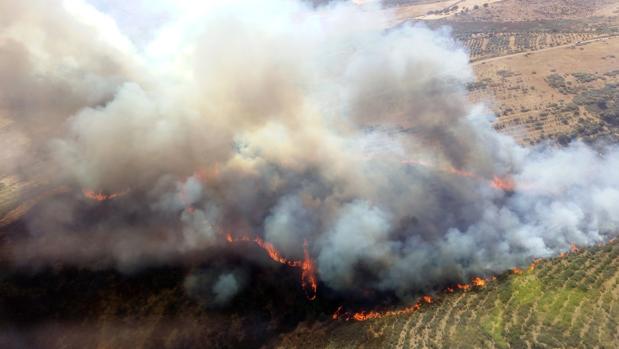 Cerca de ochenta efectivos tratan de controlar un incendio de nivel 1 en Serradilla del Llano (Salamanca)