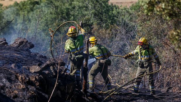 Extinguido el incendio en San Cristóbal de Segovia tras arrasar 4,7 hectáreas de pasto