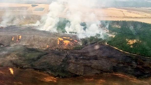 Medios aéreos y terrestres trabajan en la extinción de un incendio forestal en la provincia de Palencia