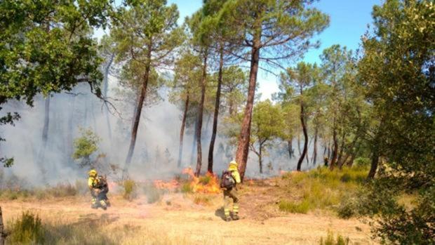 Descubren que el incendio de Barchín del Hoyo en 2019 se provocó para ocultar un cadáver