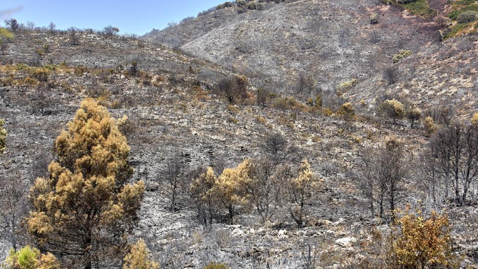 Vídeo: las 160 hectáreas de sierra arrasadas por el fuego en la Vall de la Gallinera