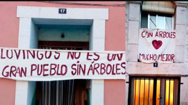 Lovingos lanza su grito de guerra: «Con árboles mucho mejor»