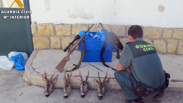 Pillan a cuatro cazadores furtivos en Segovia con cuatro cabezas de corzo y dos rifles