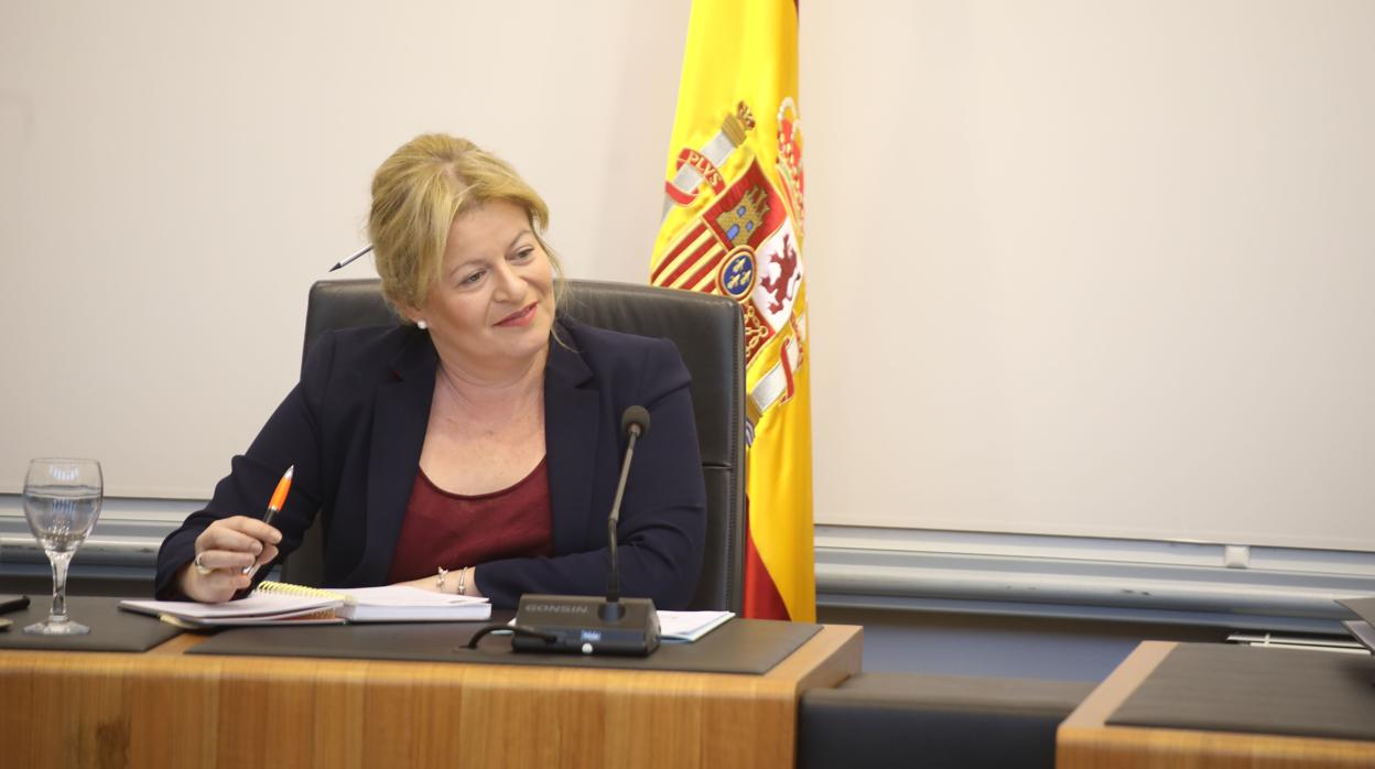 La diputada provincial alicantina Ana Serna