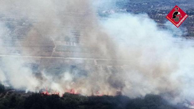 La Generalitat Valenciana cree que un pirómano provocó varios incendios forestales en Alicante