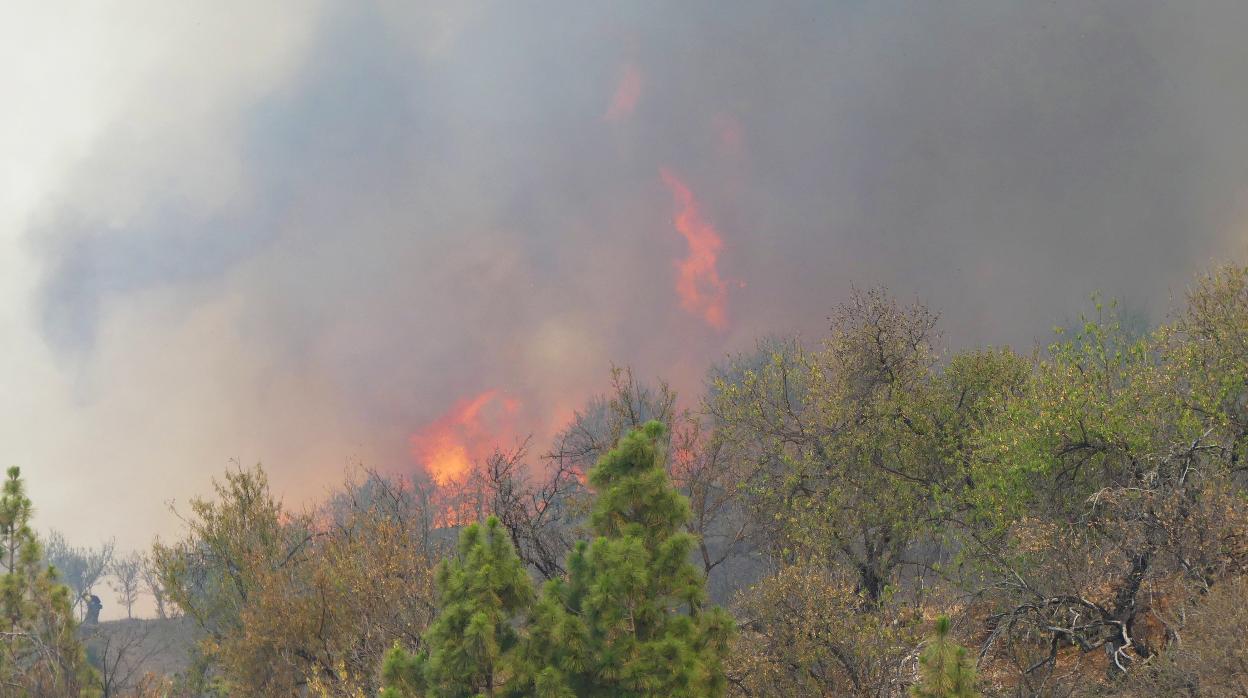 El incendio devora 4000 ha en La Palma