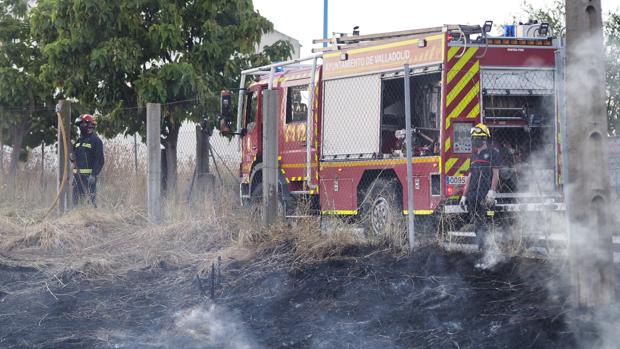 Vecinos del barrio de Las Flores en Valladolid frenan un incendio antes de que llegara a las viviendas