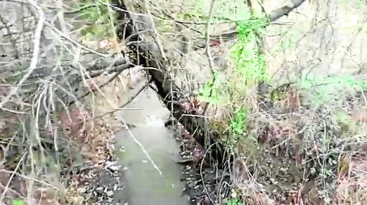 Aguas residuales en el entorno de la estación de bombeo de El Escorial