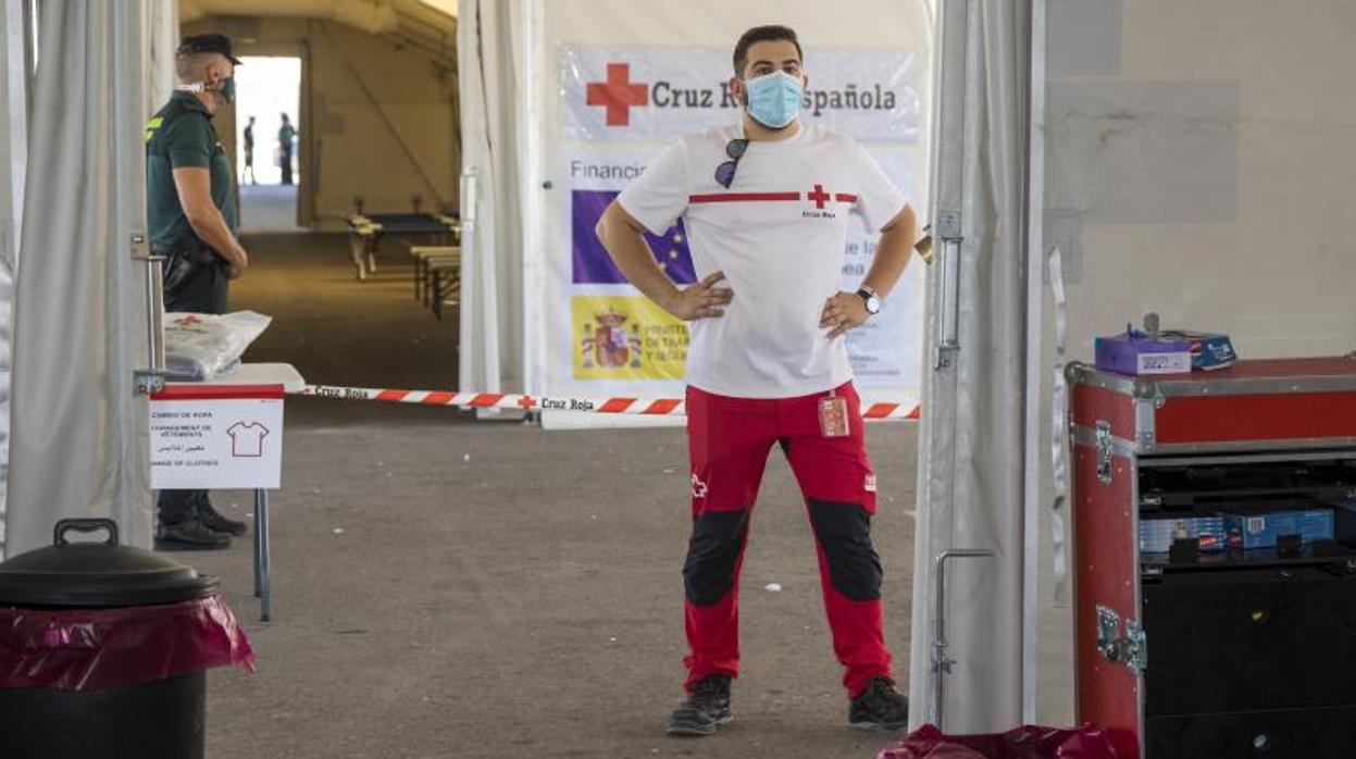 Efectivos de la Cruz Roja y la Guardia Civil en el espacio habilitado para la atención a inmigrantes llegados en pateras a Alicante