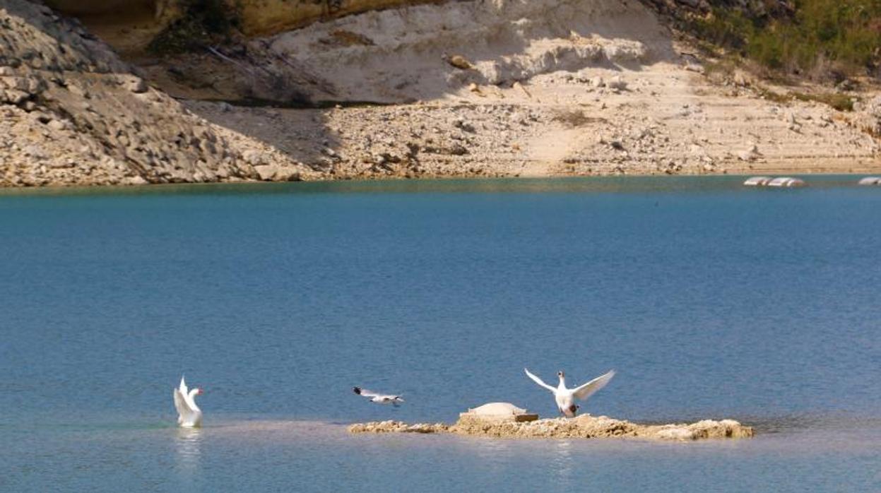 Aguas del embalse de Crevillente