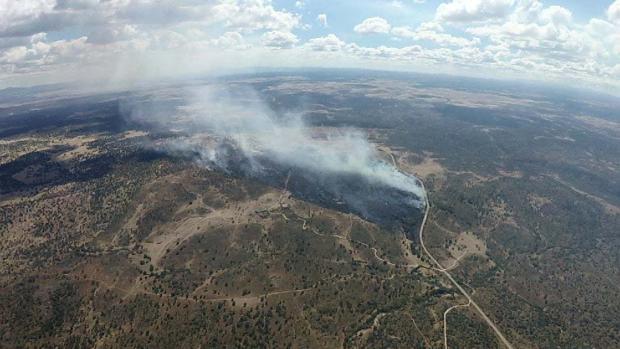 Un fuego en San Felices de los Gallegos quema más de 30 hectáreas de arbolado