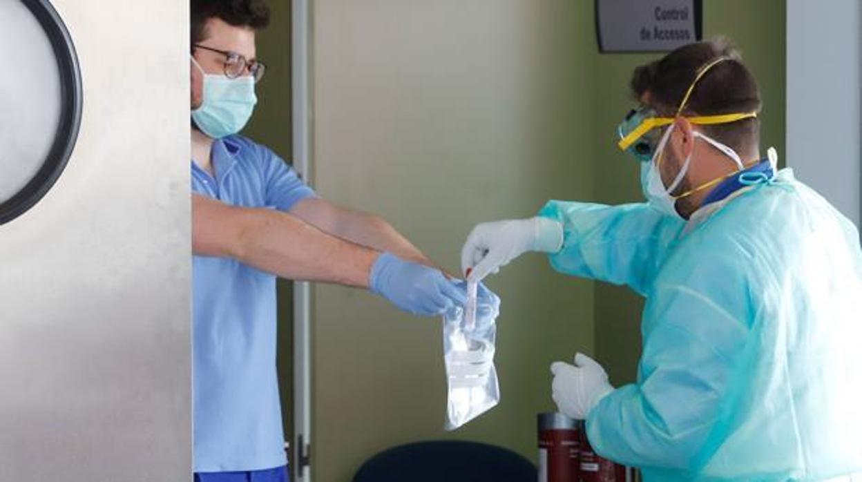 Sanitarios guardan una muestra tras realizar un test