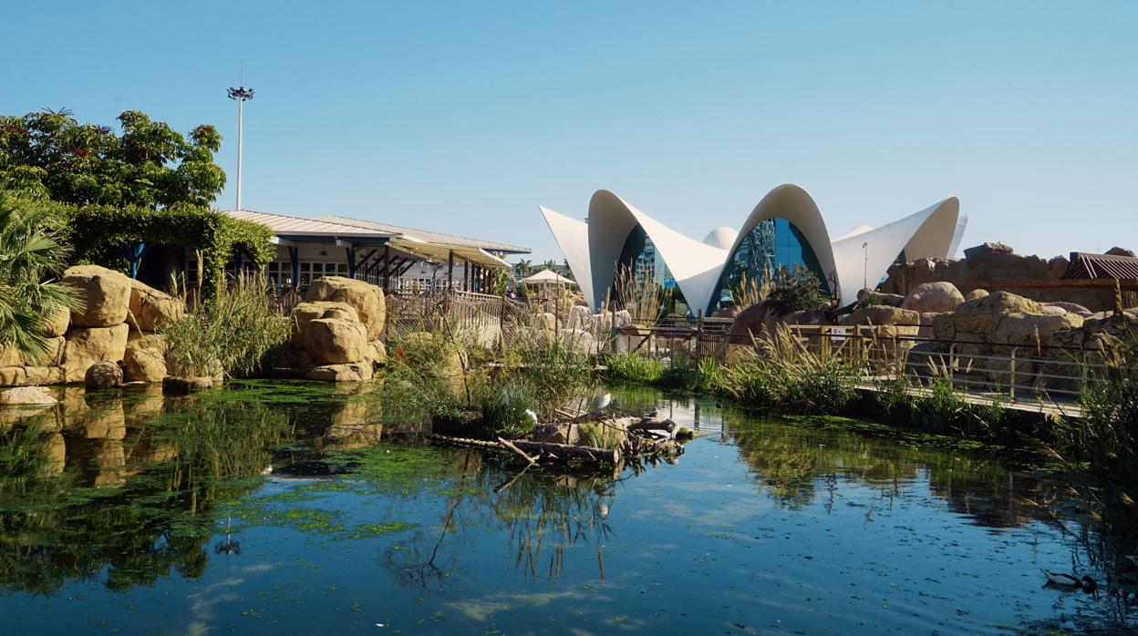 Imagen de las instalaciones del Oceanogràfic de Valencia