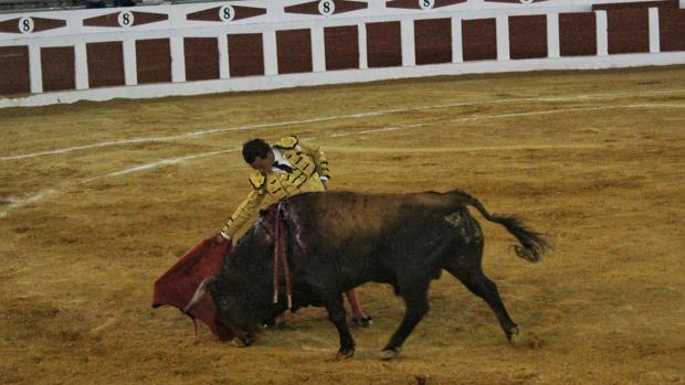 El ganado del conde de Mayalde triunfa en Valdepeñas, con «Chorlito« indultado