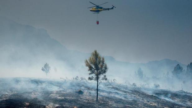 Extinguidos los cinco fuegos que arrasaron 270 hectáreas en la provincia de Orense