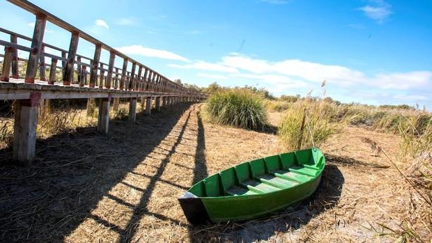 Las Tablas de Daimiel agonizan con 50 hectáreas inundadas y casi secas