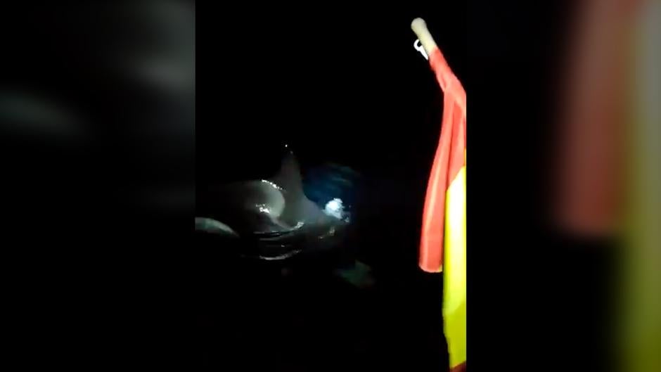 Un nuevo avistamiento de orcas en Galicia pone en alerta a las embarcaciones