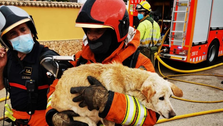 Así se ve con cámara térmica un incendio en el que se rescató a un perro en Chiva