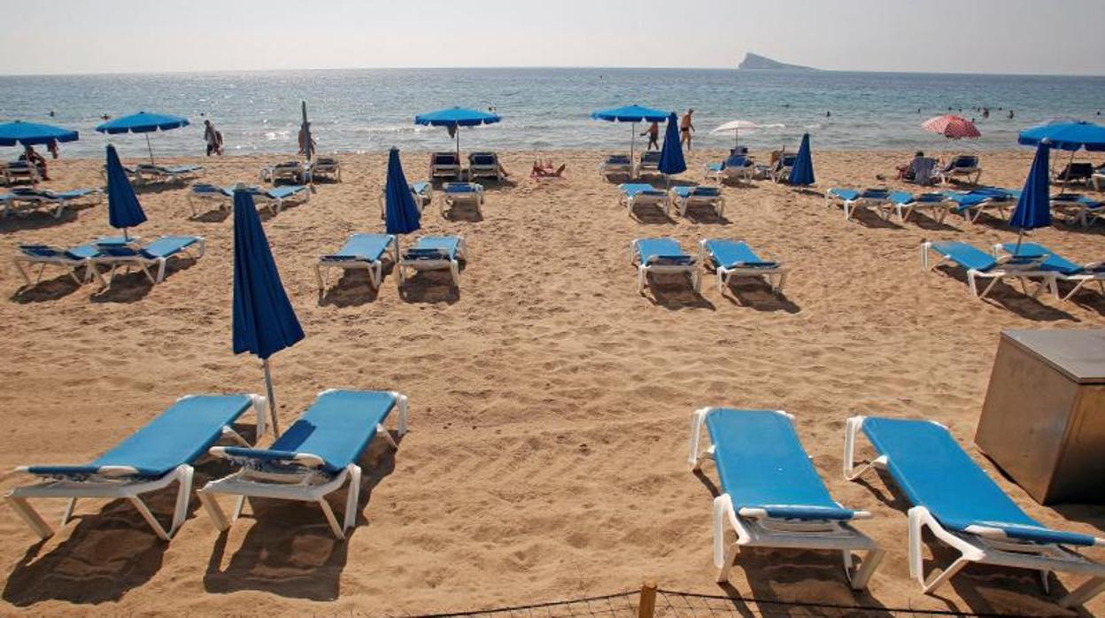 Zona de hamacas en la playa de Levante de Benidorm, este miércoles