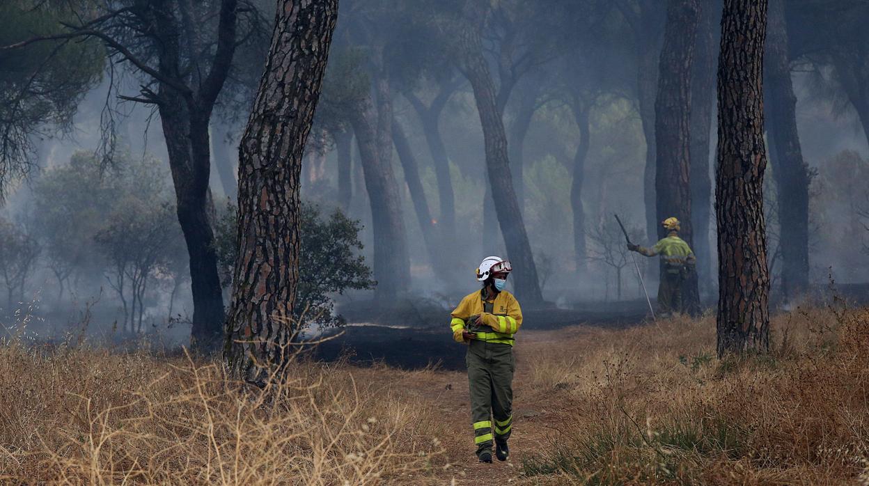 Efectivos trabajando en el incendio registrado el pasado 10 de agosto en Simancas