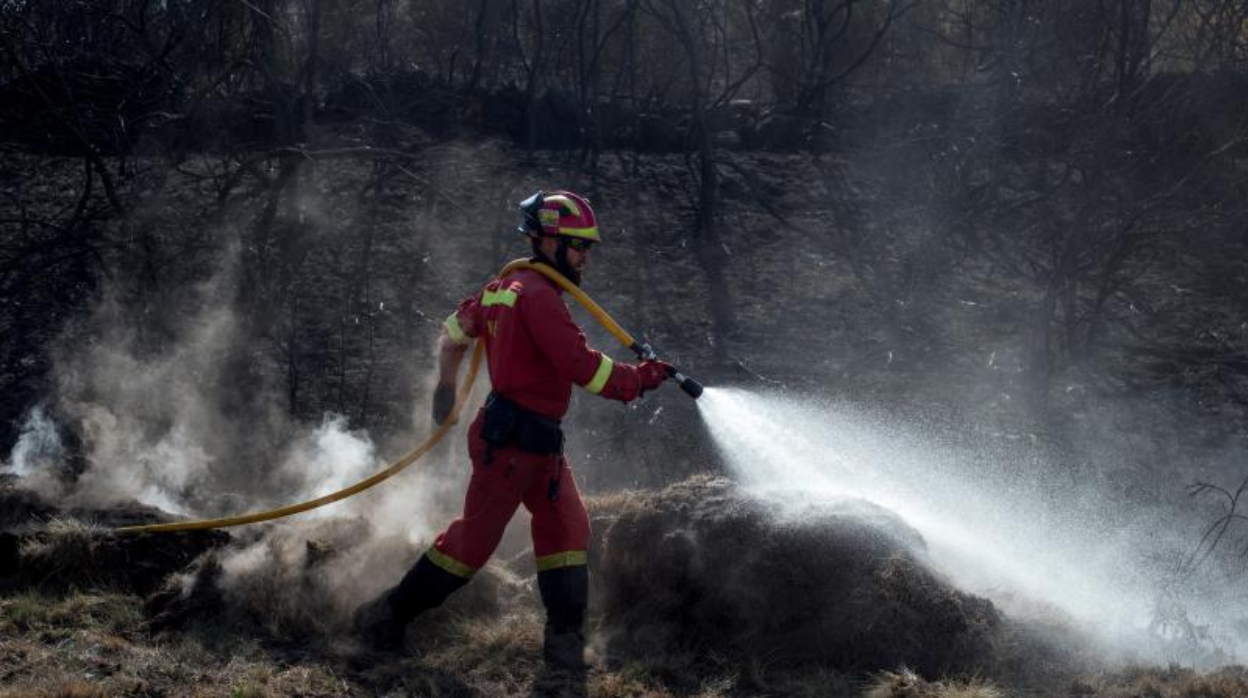 Labores de extinción en Cualedro (Orense)