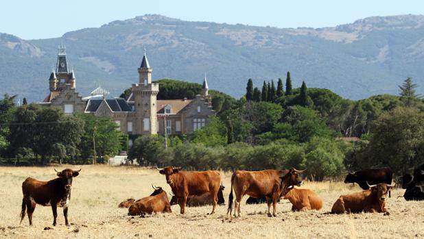 El tesoro taurino del Conde de Mayalde