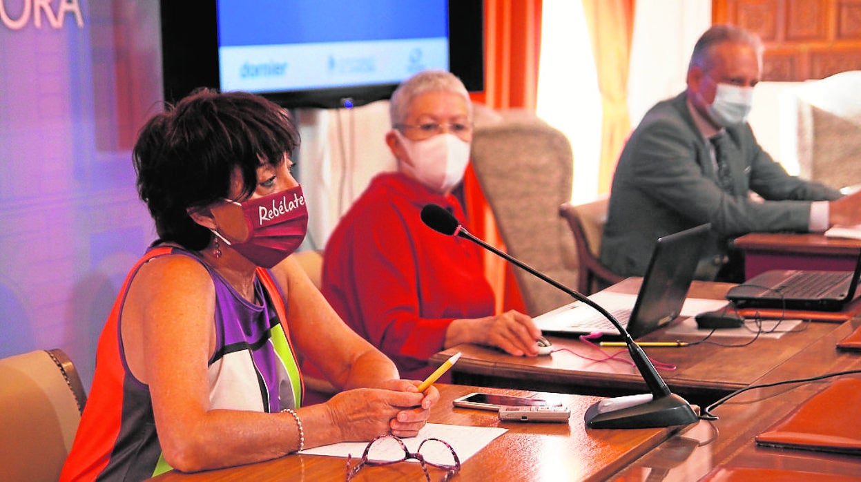 La concejala de Igualdad, Carmen Álvarez, durante la presentación de la campaña