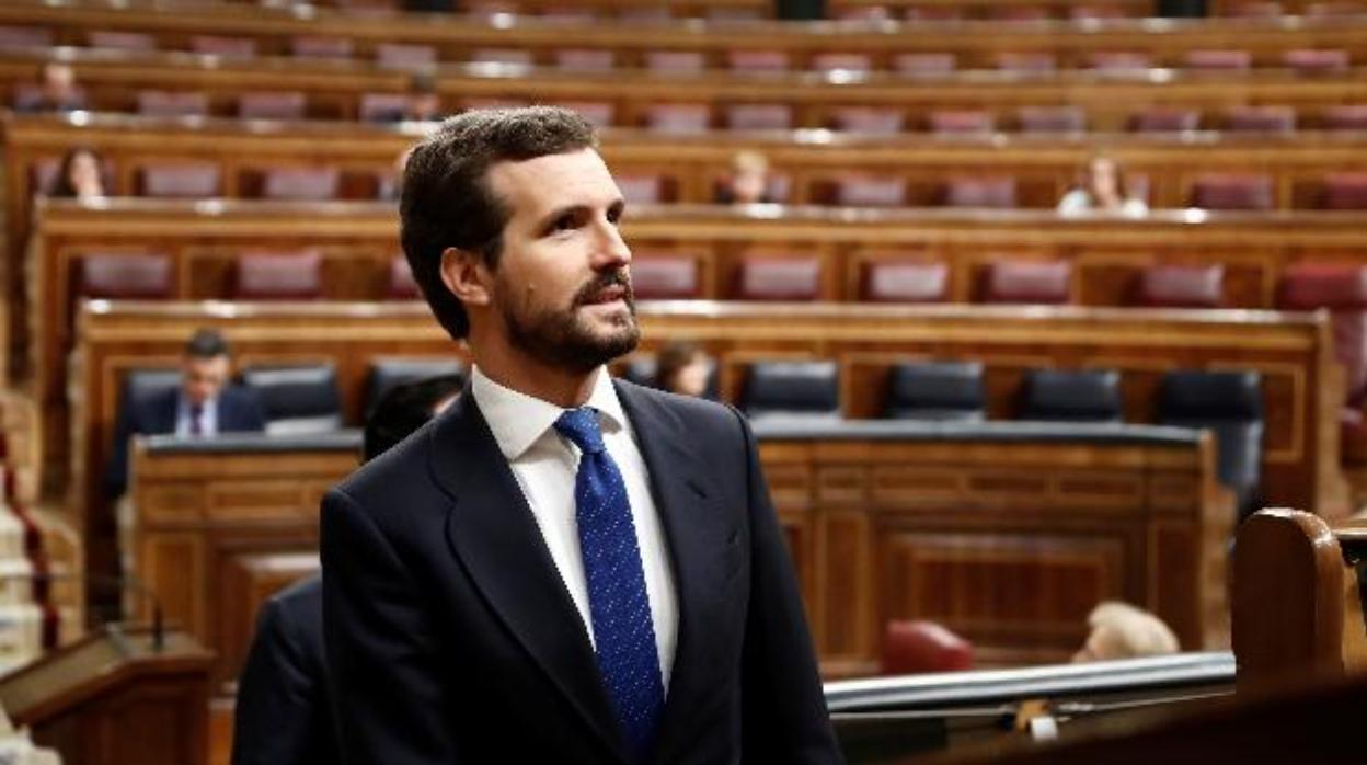 El presidente del PP, Pablo Casado, en el Congreso de los Diputados