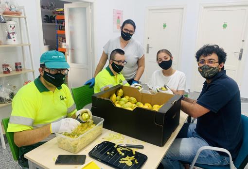 500 kilos de limones ecológicos de la Vega Baja para el licor más solidario