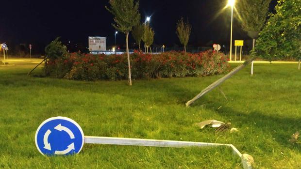 Un conductor drogado y ebrio atraviesa una glorieta y derriba dos árboles y una señal en Valladolid