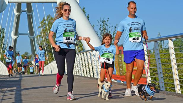 La 8ª CAN-RRERA solidaria de BIOPARC Valencia se desarrolla en modo virtual por el Covid