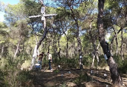 La UPV avanza en el proyecto GUARDIAN para analizar la capacidad de adaptación de la zona al cambio climático