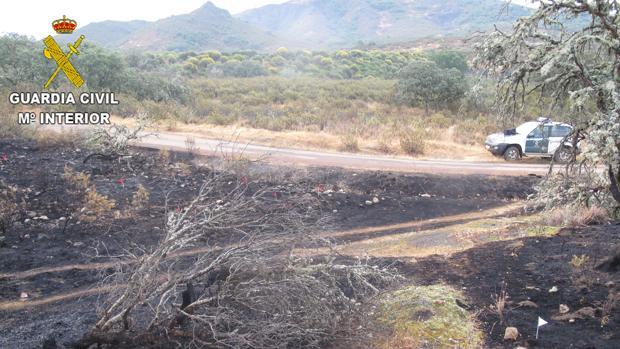 Tres investigados en Ciudad Real por provocar incendios forestales