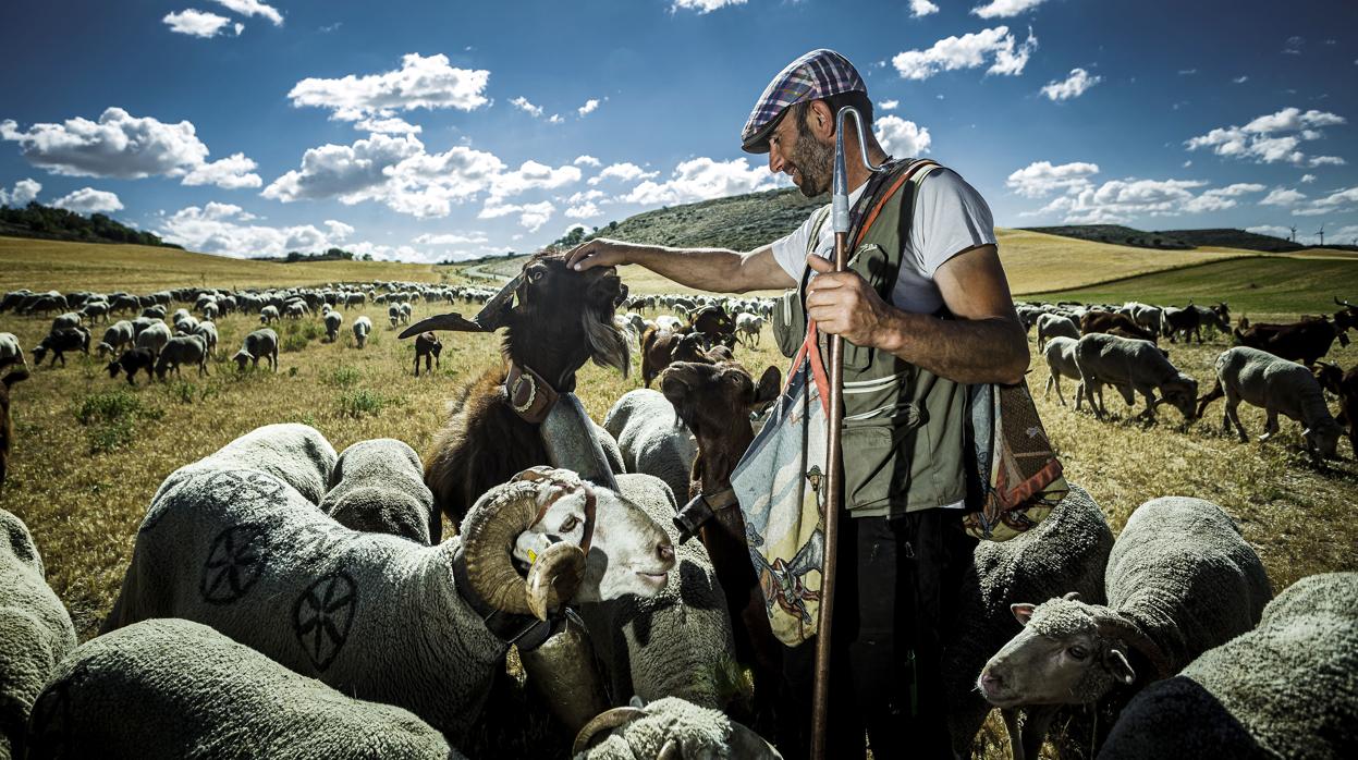 Fotografía de Jonathan Tajes premiada con el Premio de Fotografía de Prensa Luis Laforga